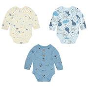 Body M/L 3Pk