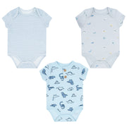 Body 3Pk