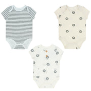 Body 3Pk