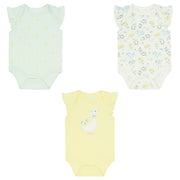 Body 3Pk